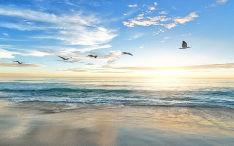 Topp 10 stränder för din semester i Maremma i Toscana