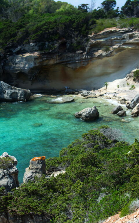 Karibien i Toscana: Ön Pianosa