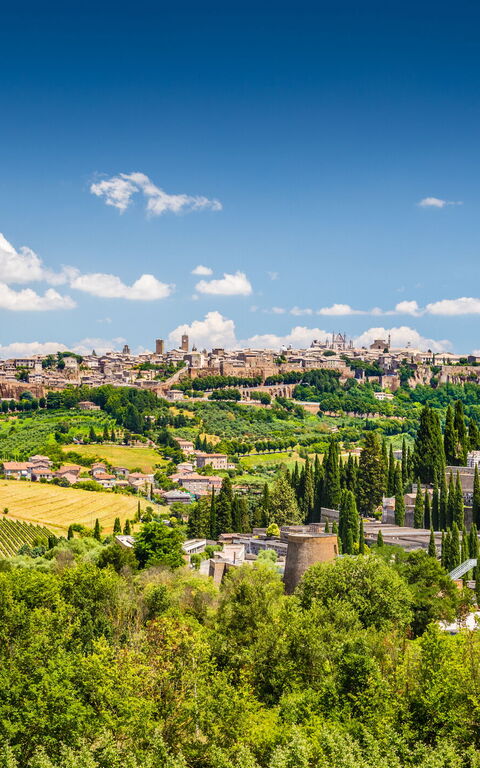 De typiska smakerna och rätterna du måste prova!