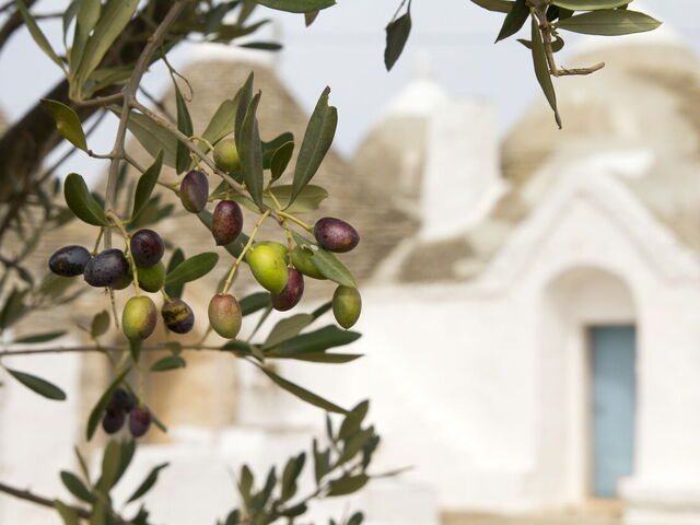 10 traditionella rätter från Apulien du inte vill missa