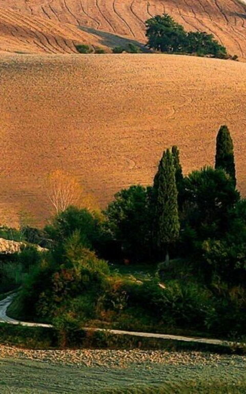 När naturen uppträder: Theatre of Silence