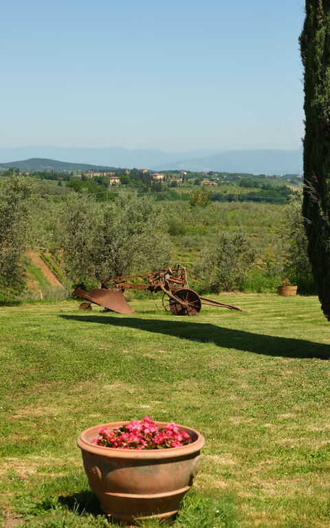 Pozzo Dei Desideri: Exteriör, Trädgård, Utomhus, Visningar