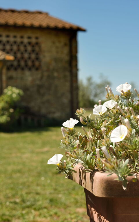 Pozzo Dei Desideri: Exteriör, Trädgård, Utomhus