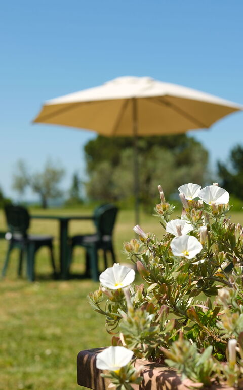 Pozzo Dei Desideri: Exteriör, Trädgård, Utomhus