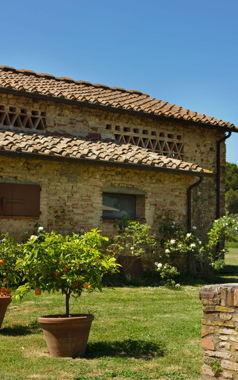 Pozzo Dei Desideri: Exteriör, Trädgård, Utomhus