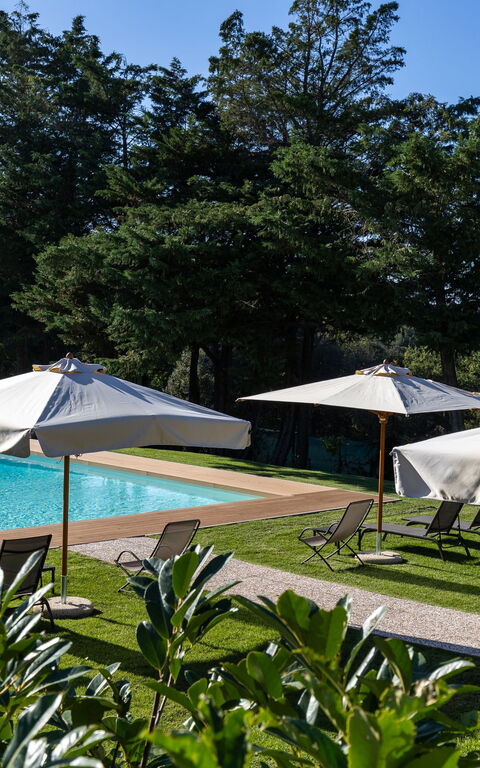 Villa Simone: slå samman, Trädgård, Utomhus