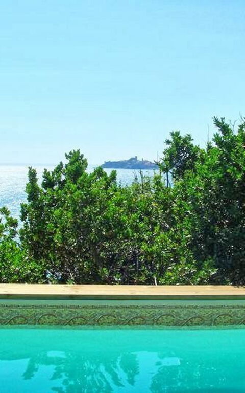 Presidio: slå samman, Trädgård