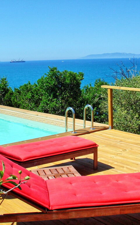 Presidio: slå samman, Trädgård