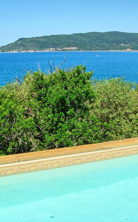 Presidio: slå samman, Trädgård