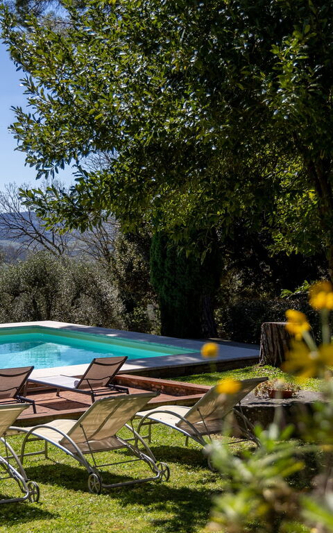 Villa Orchidea: slå samman, Utomhus