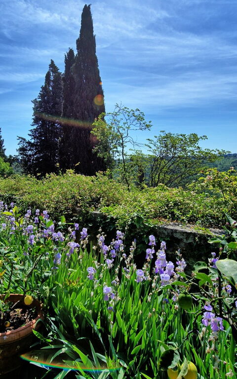 Montegufoni: Trädgård, Visningar