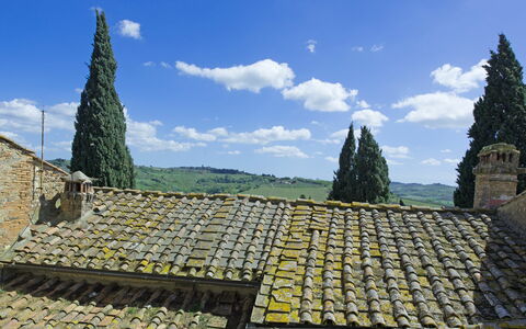 Semesterboende Torre: Visningar