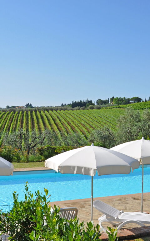 I Glicini: slå samman, Visningar