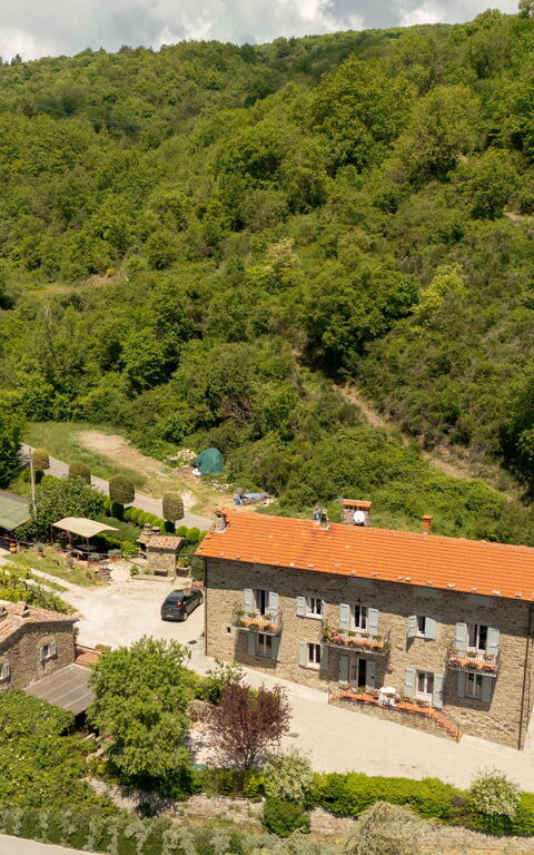 Casa Ivan: Trädgård