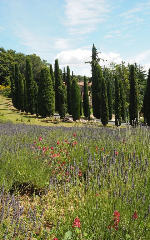 Cornocchio: Visningar