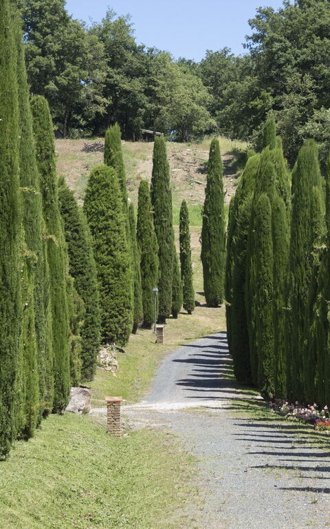 Cornocchio: Visningar