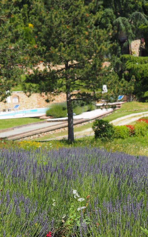 Cornocchio: Visningar