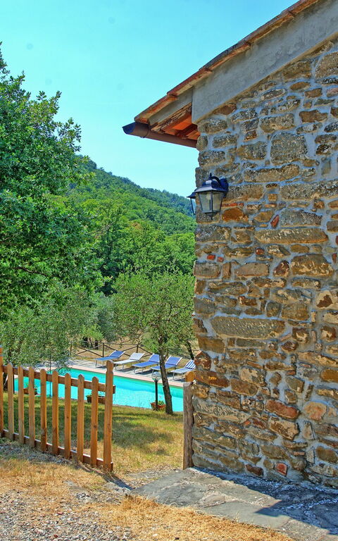 Poggio Conca: Trädgård