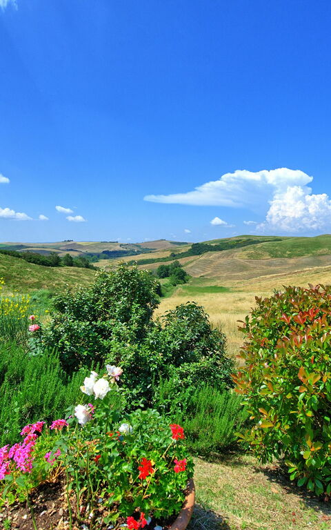 Castelmuzio: Visningar