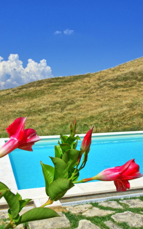 Castelmuzio: slå samman