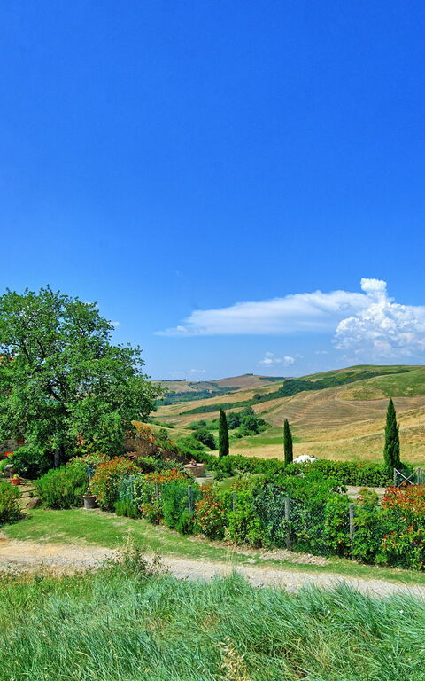 Castelmuzio: Utomhus, Visningar