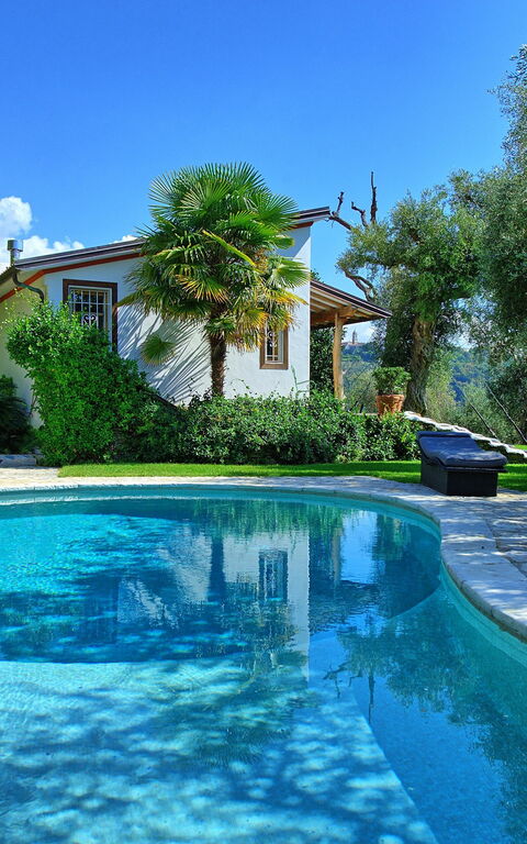 Villa Oliveta: slå samman, Sommar