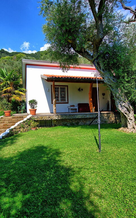 Villa Oliveta: Trädgård, Utomhus