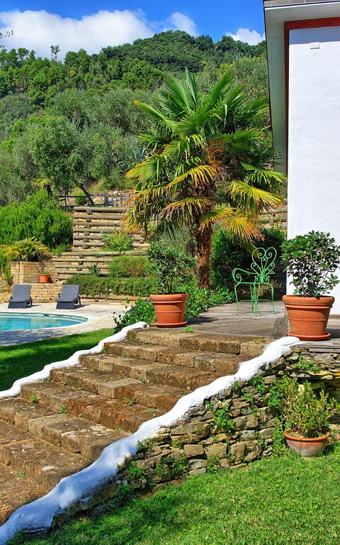 Villa Oliveta: Trädgård