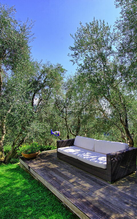 Villa Oliveta: Trädgård