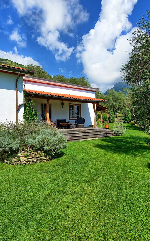 Villa Oliveta: Trädgård, Utomhus