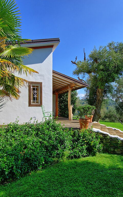 Villa Oliveta: Trädgård, Utomhus