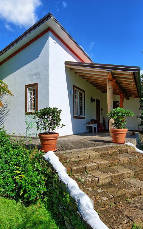 Villa Oliveta: Trädgård, Utomhus