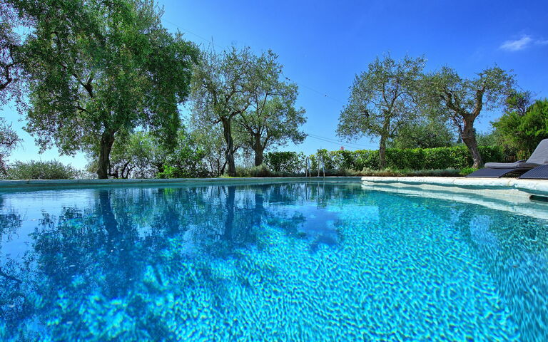 Villa Oliveta: slå samman, Sommar, Visningar