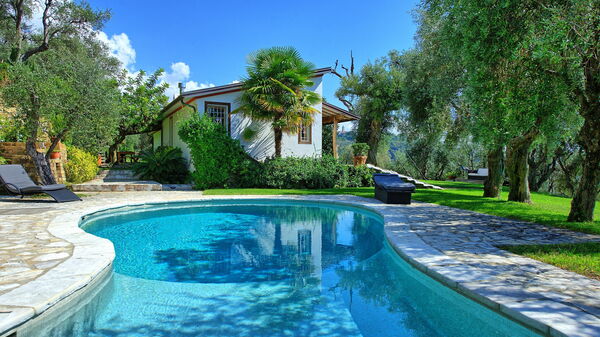 Villa Oliveta: slå samman, Sommar