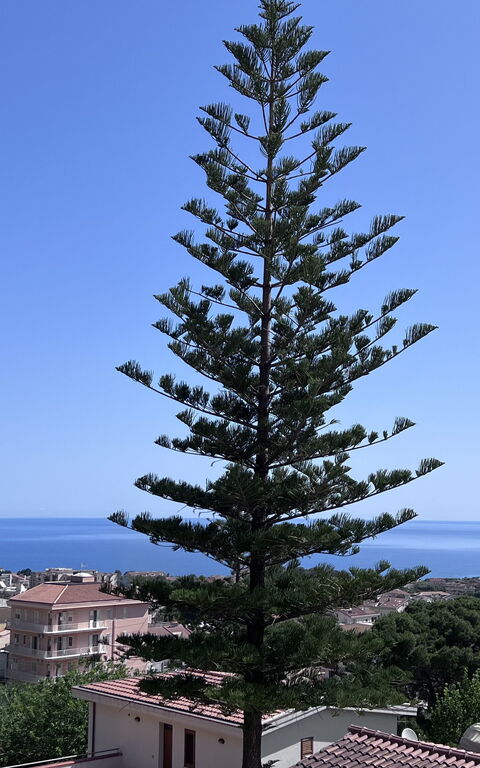 Castellammare: Visningar