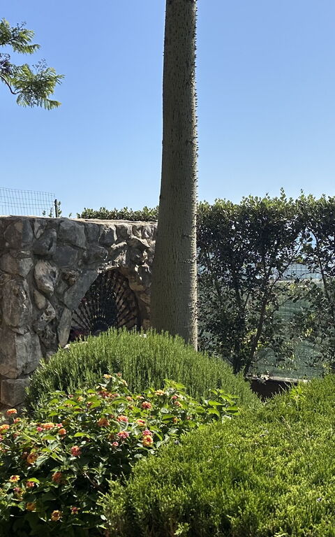 Castellammare: Exteriör, Trädgård