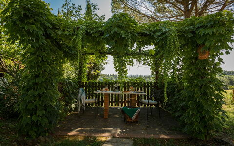 Semesterboende Montelopio 8: Trädgård, Utomhus