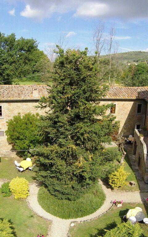 San Pietro: Utomhus, Visningar