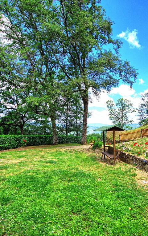 Villa Margherita: Trädgård