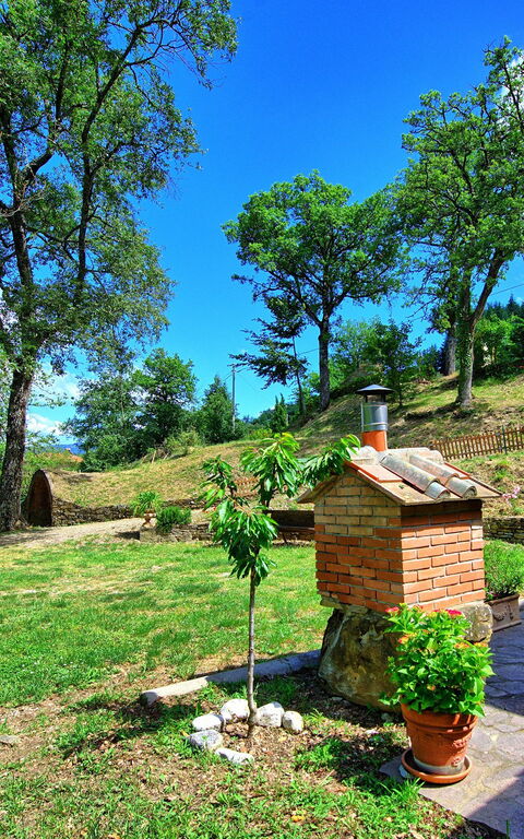 Villa Margherita: Trädgård