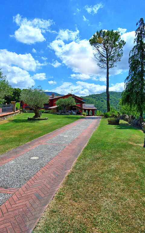 Villa Contessa: Trädgård