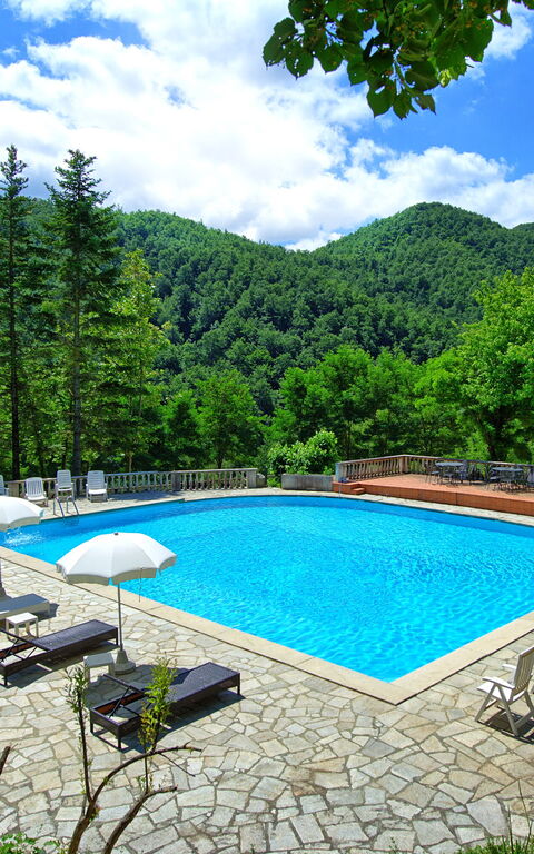 Villa Contessa: slå samman, Trädgård