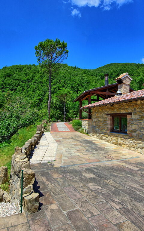 Villa Contessa: Exteriör, Trädgård