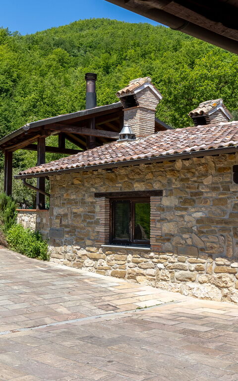 Villa Contessa: Exteriör, Trädgård, Utomhus