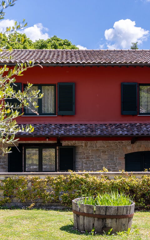 Villa Contessa: Exteriör, Trädgård, Utomhus