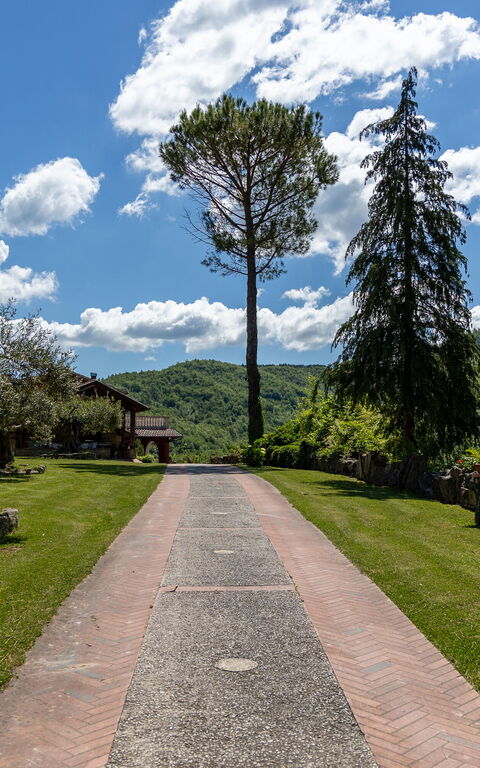 Villa Contessa: Trädgård, Utomhus, Visningar