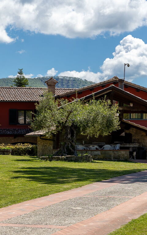 Villa Contessa: Exteriör, Trädgård, Utomhus