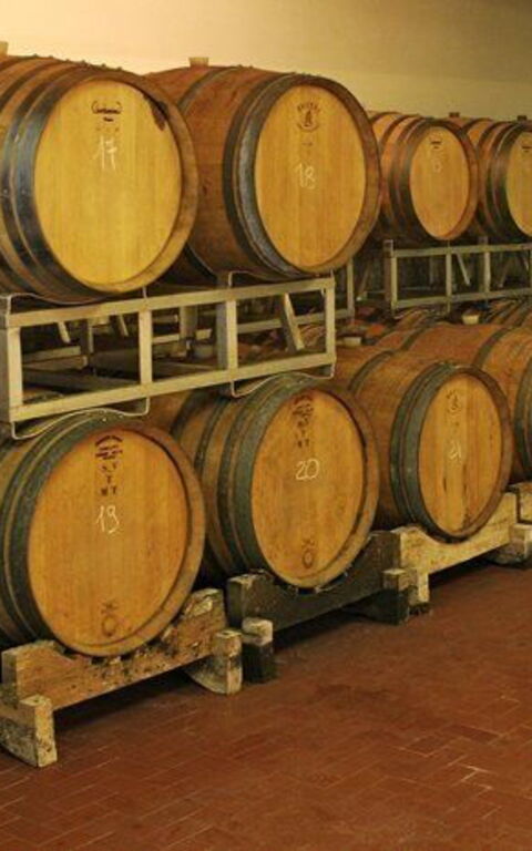 La Selva: Faciliteter