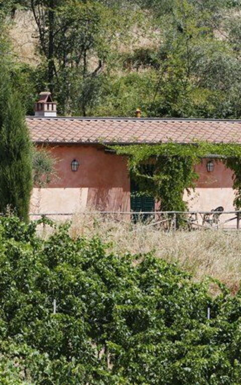 La Selva: Trädgård, Utomhus