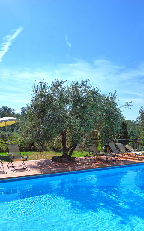 La Selva: slå samman